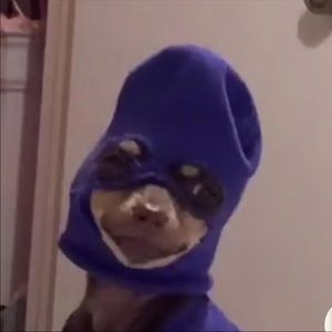 Meet your Posher, Briana